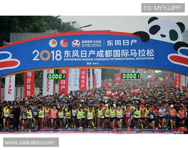 体育赛事票价调查分析及其对观众参与度的影响研究